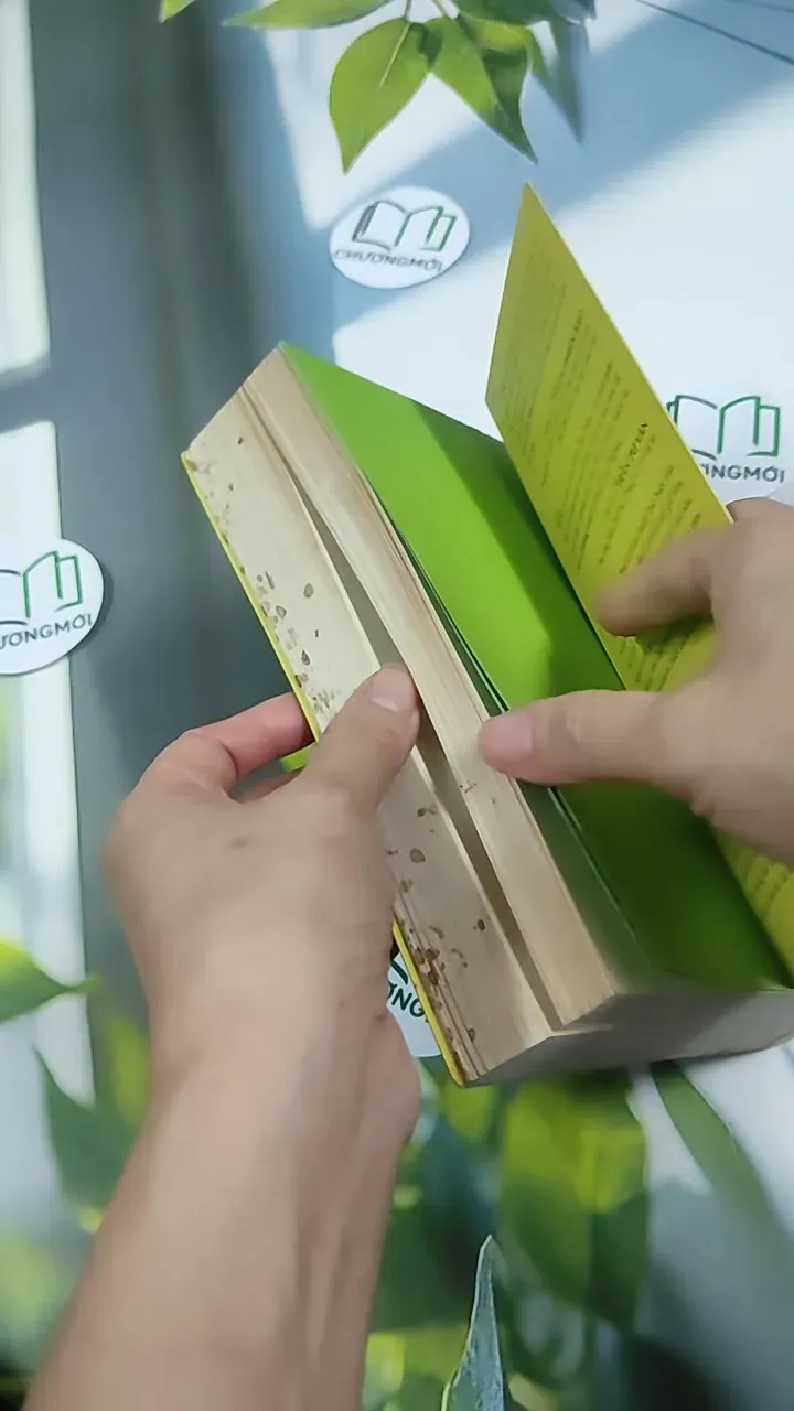 Hiểu Về Trái Tim - Minh Niệm 787073