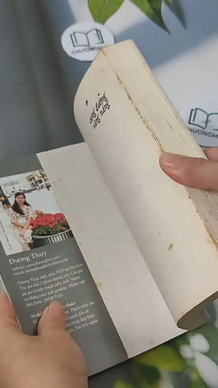 Cung Đường Vàng Nắng - Dương Thụy 705589