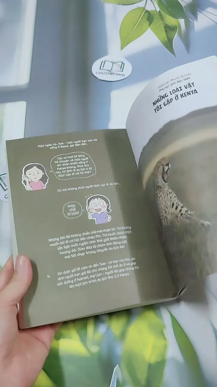 Nhà Có Một Đàn Mèo 2 - Chae Yuri 744718