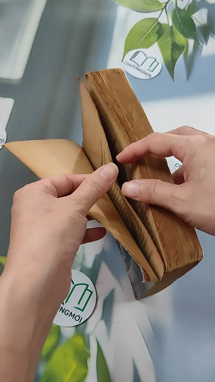 [XƯA] Ông Chủ Ballantra (1990) - Robert Louis Stevenson 776098