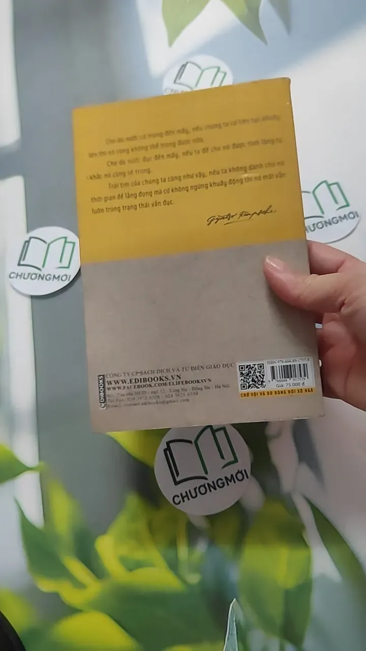 Chớ Vội Vã Dù Dòng Đời Xô Ngã - Gyatso Rinpoche 787041