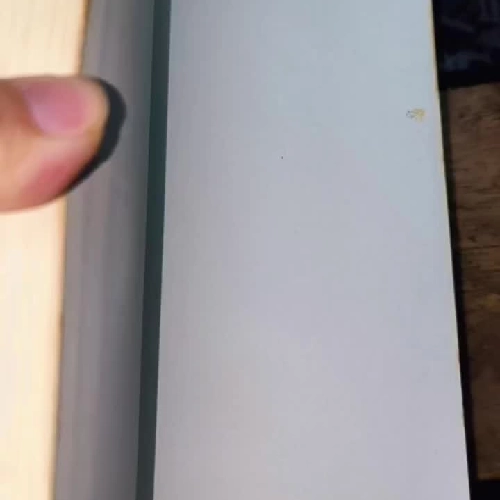 Steve Jobs: The Exclusive Biography - Walter Isaacson (sách ngoại văn)