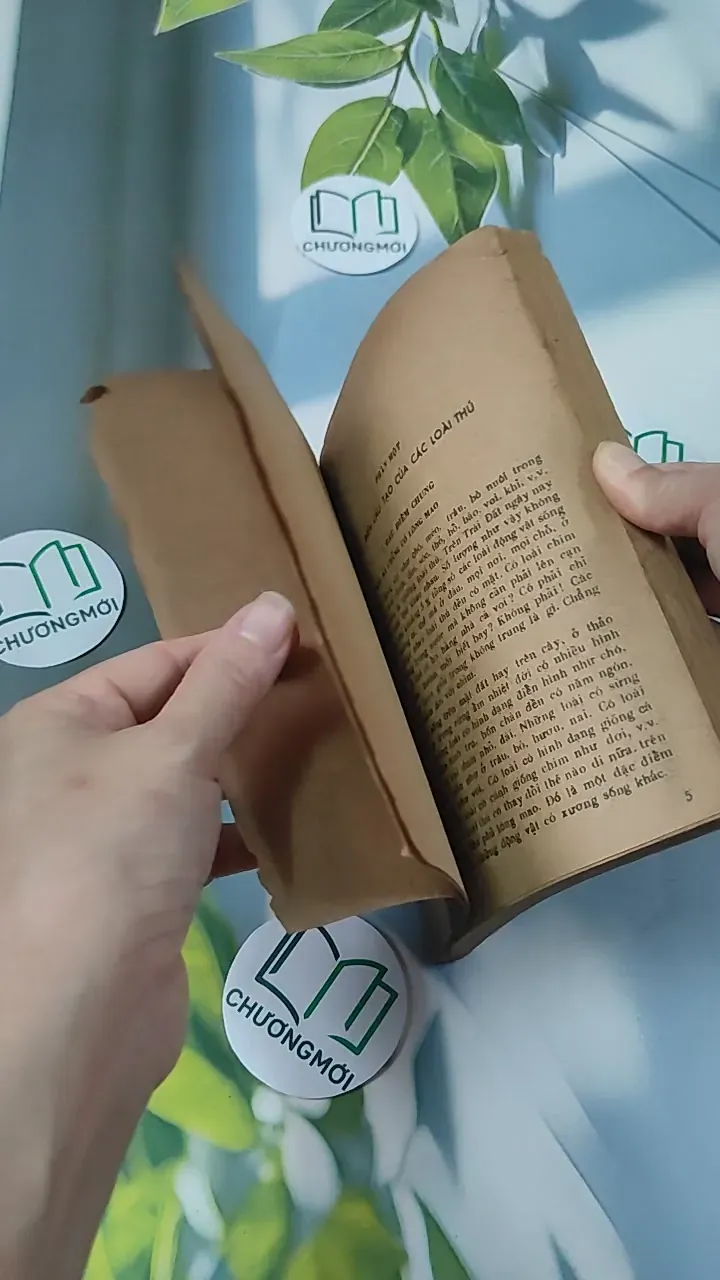 [XƯA] Tìm Hiểu Các Loài Thú (1988) - Lê Vũ Khôi 775993