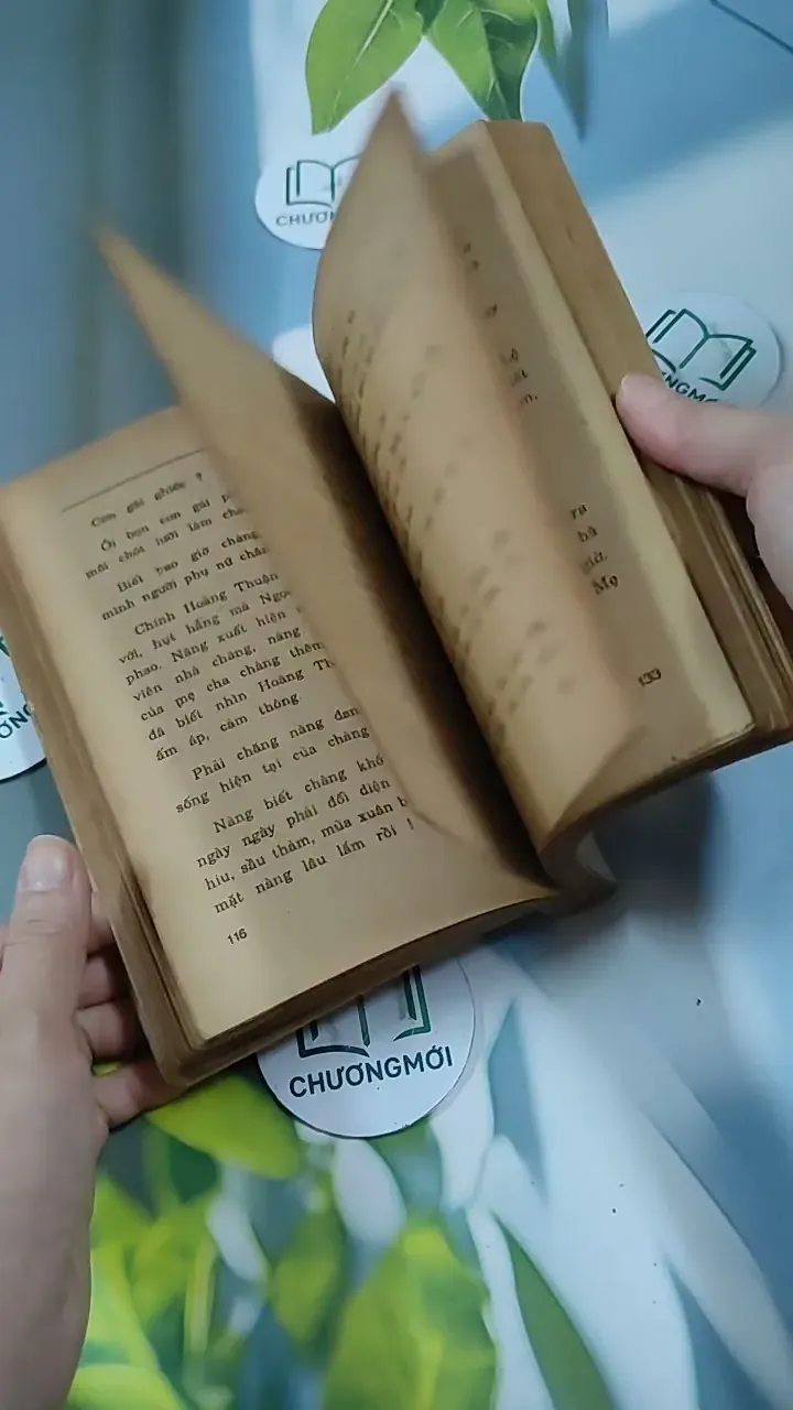 Tỳ Vết Tình Yêu - Thanh Lan 713847