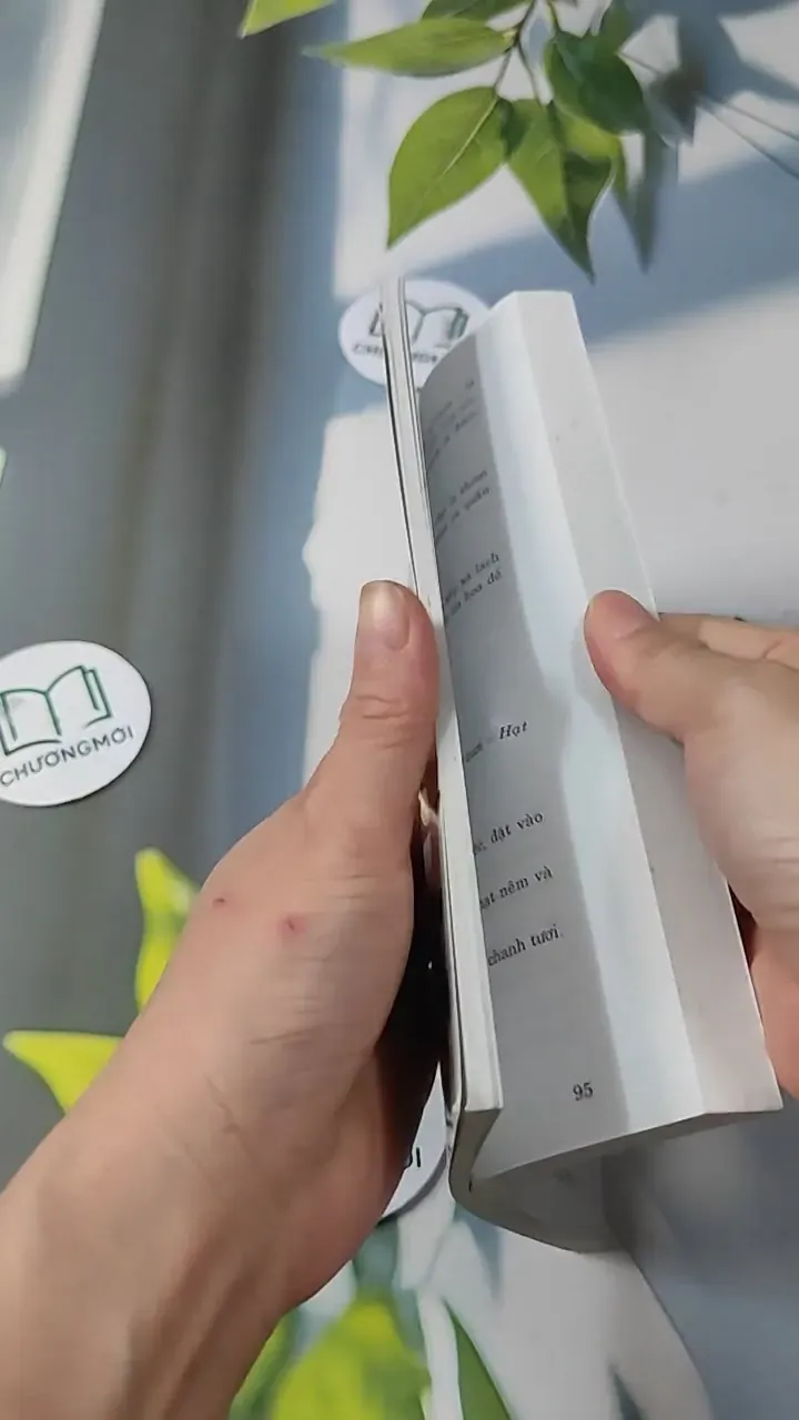 300 Món Ngon Dễ Làm - Ngọc Huệ 727228