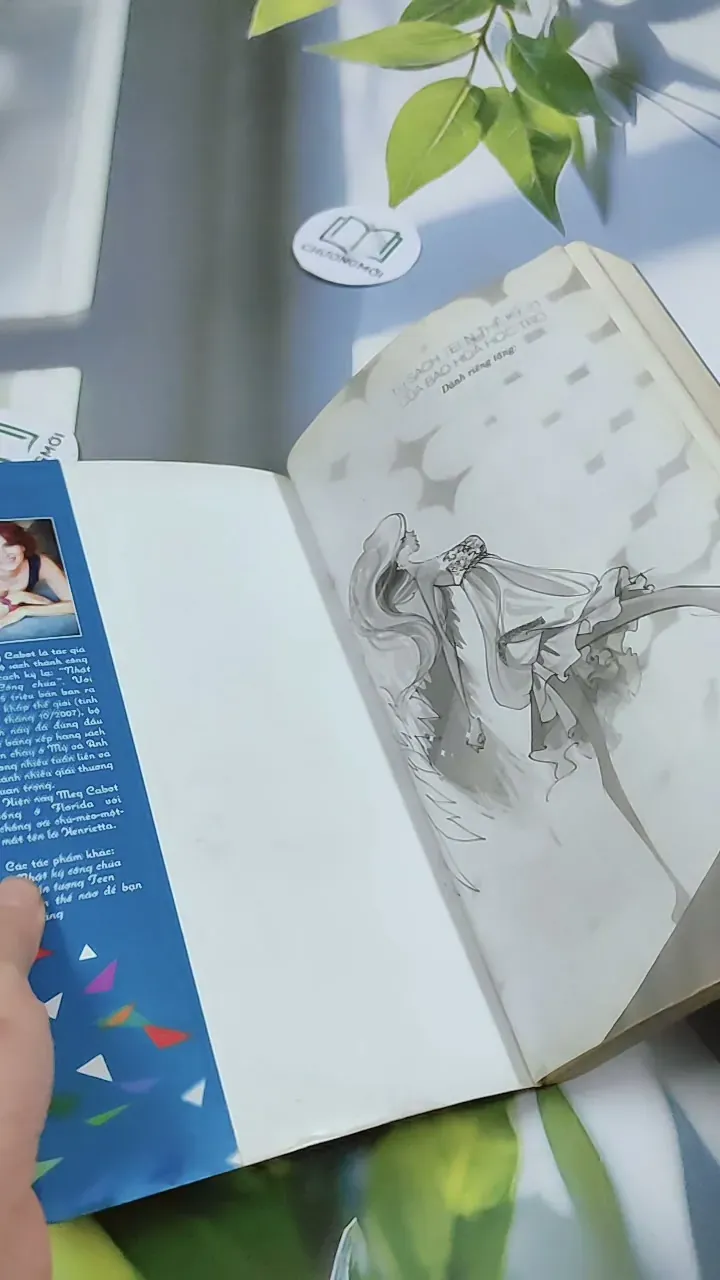 Airhead 2: Being Nikki Trở Thành Siêu Mẫu - Meg Cabot 744772