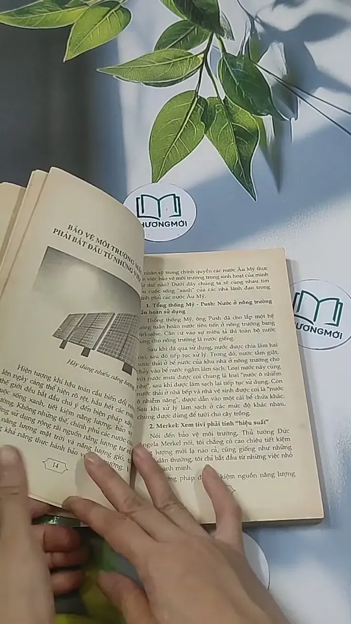 Xây dựng cuộc sống xanh -  Kim Phụng 694915