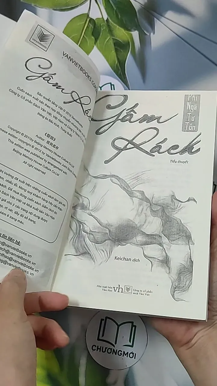 Gấm rách - Phỉ Ngã Tư Tồn 688659