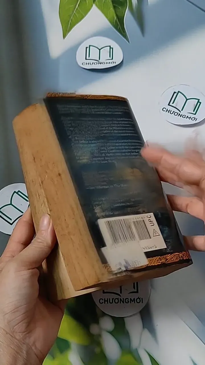 [MIỄN PHÍ BỌC SÁCH] The Saxon Shore - Jack Whyte 703080