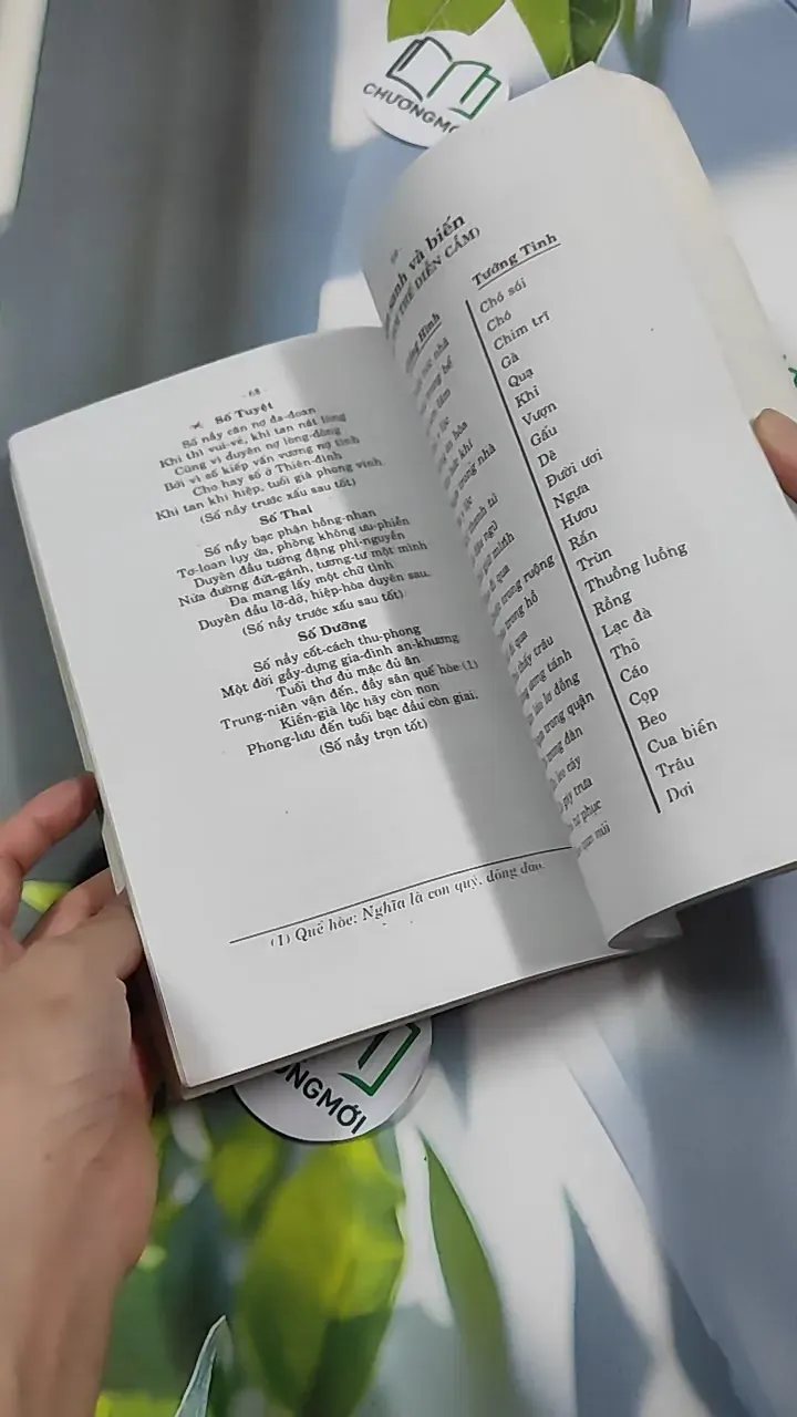 [MIỄN PHÍ BỌC SÁCH] Khảo Cứu Chiêm Tinh Lý Số - Viên Tài - Hà Tấn Phát 776243