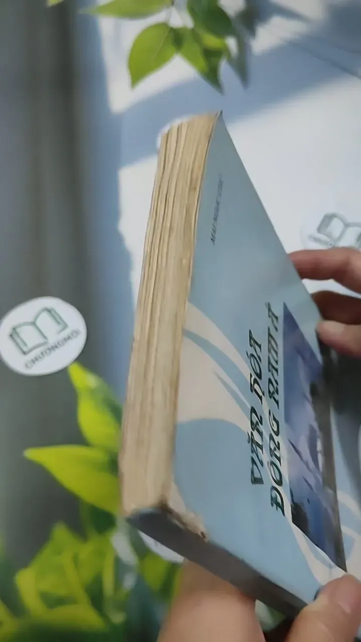 Văn Hóa Đông Nam Á - Mai Ngọc Chừ 707261