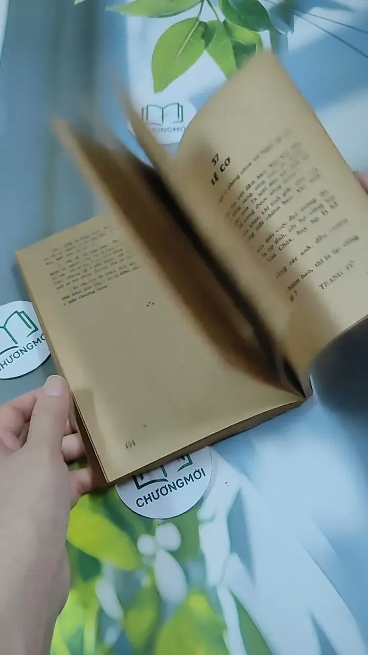 Cái Cười Của Thánh Nhân - Nguyễn Duy Cần 713889