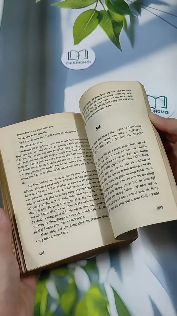 TêRêDa - G. AMaĐô 713871