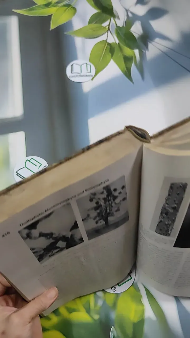 [MIỄN PHÍ BỌC SÁCH] The Plant World - Harry J. Fuller 750801