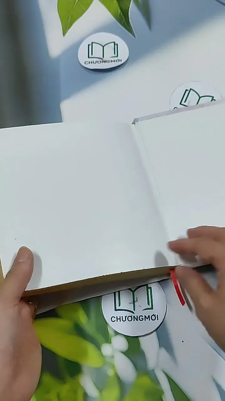 Thiếu Tướng Ế Vợ - Tuỳ Hầu Châu 703157