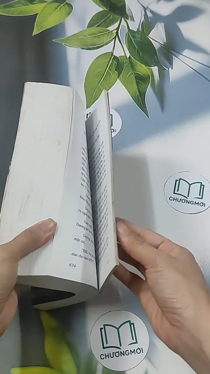 Gái già xì-tin - Nguyễn Thu Thủy 694925