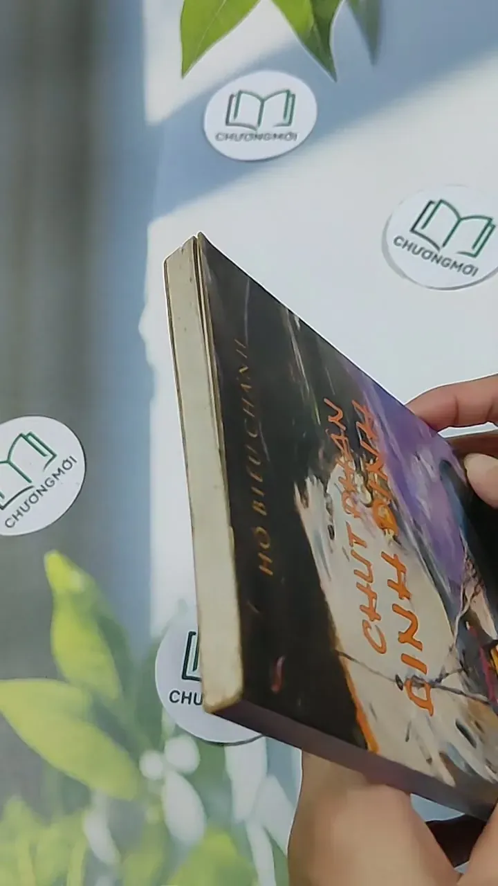 Chúc phận linh đinh - Hồ Biểu Chánh 698619