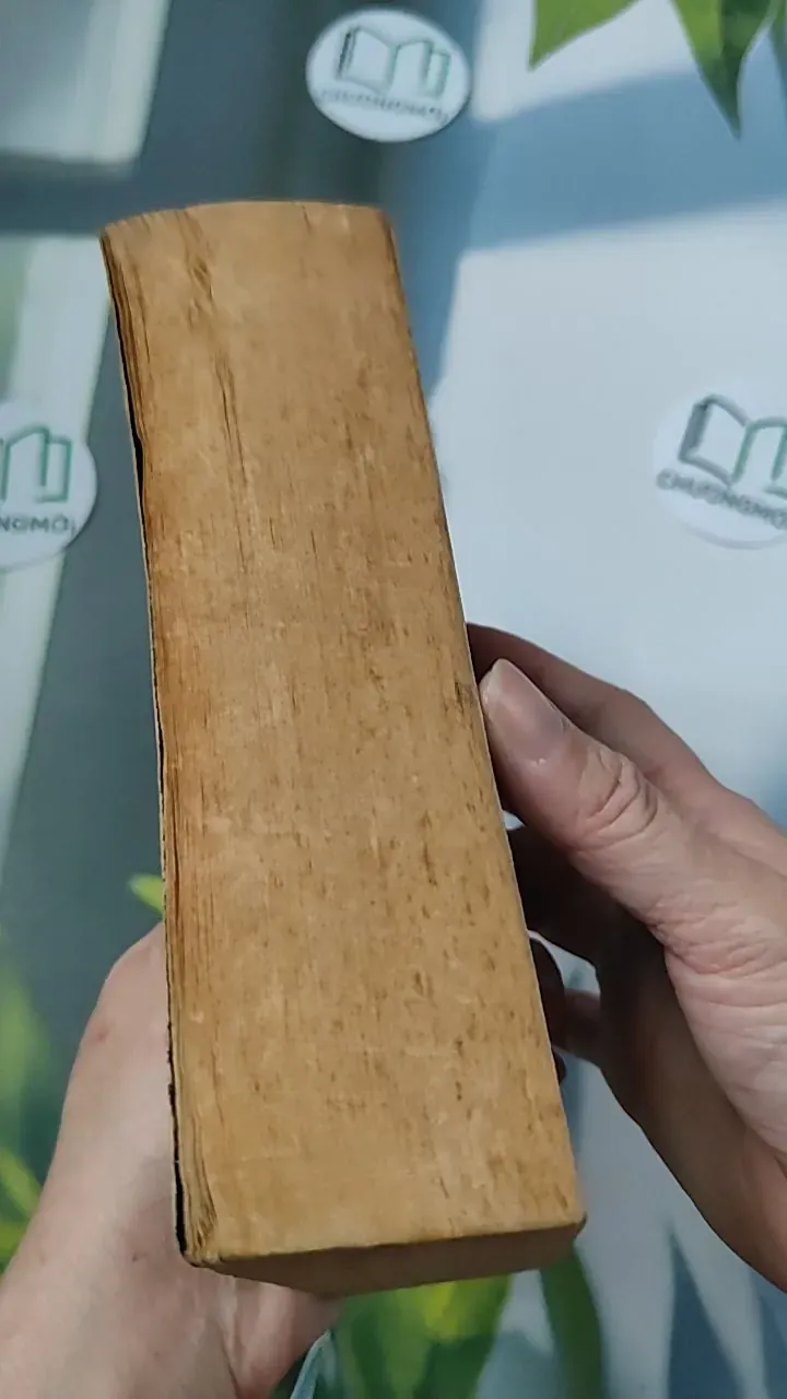 [MIỄN PHÍ BỌC SÁCH] [XƯA] Troy: Lord of the Silver Bow (1984) - David Gemmell 754500