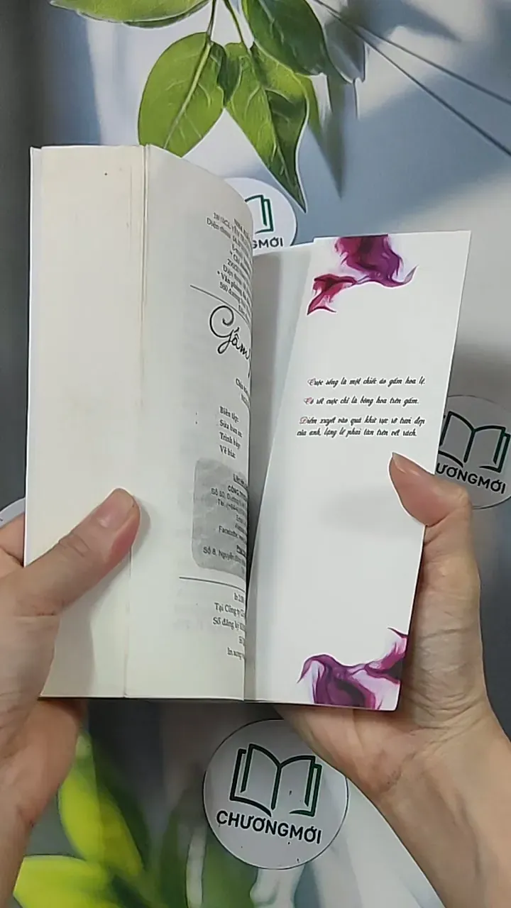 Gấm rách - Phỉ Ngã Tư Tồn 688659