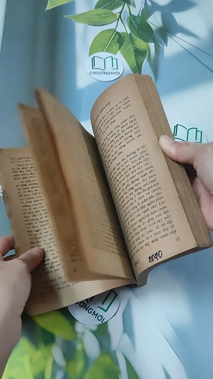 [XƯA] Tìm Hiểu Các Loài Thú (1988) - Lê Vũ Khôi 775993