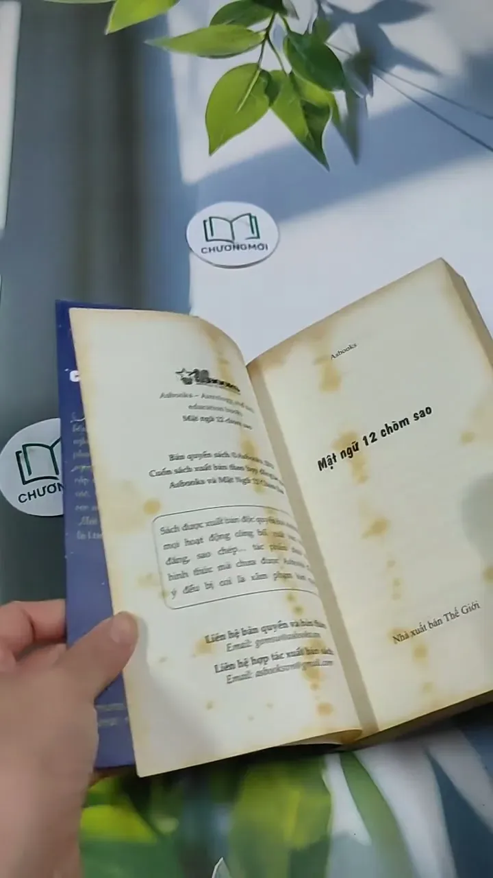 Mặt Ngữ 12 Chòm Sao 705674