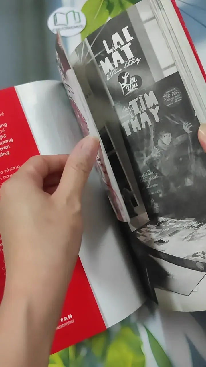 Tìm Thấy & Lạc Mất 780884