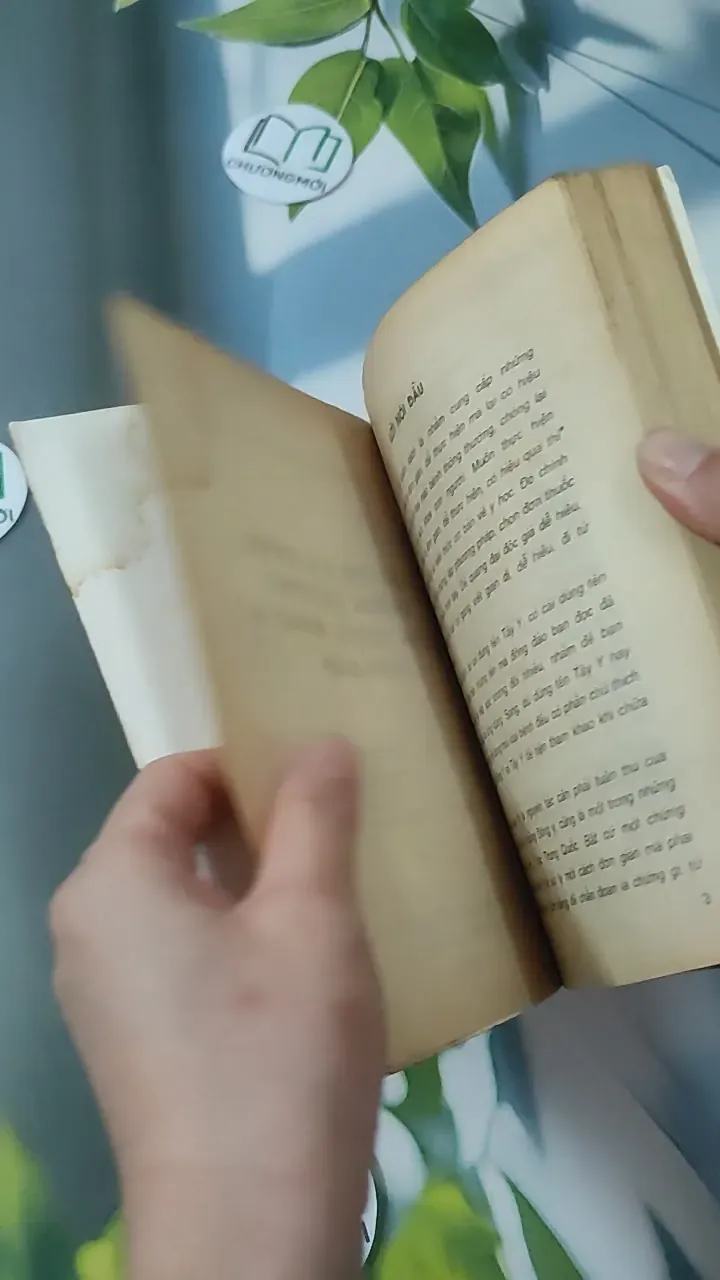 [MIỄN PHÍ BỌC SÁCH] [XƯA] Điều Trị Bệnh Thông Thường Bằng Thuốc Đông Y Đơn Giản (1993) - Trương Phong & Dương Trí Phù 780832