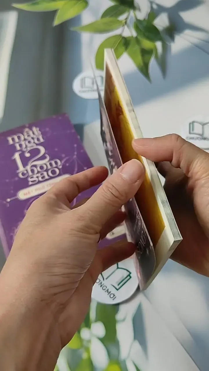 Combo: Khám Phá Tất Tần Tật Cung Song Tử  713791