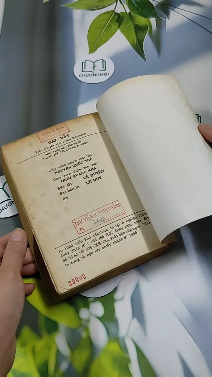 Gài Bẫy - Lynnerickson 713892