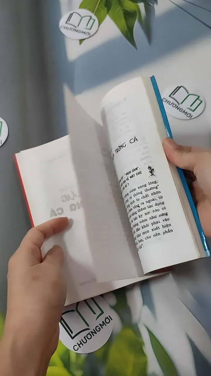 Chiến Thắng Mụn Trứng Cá - Kim Trọng 780823