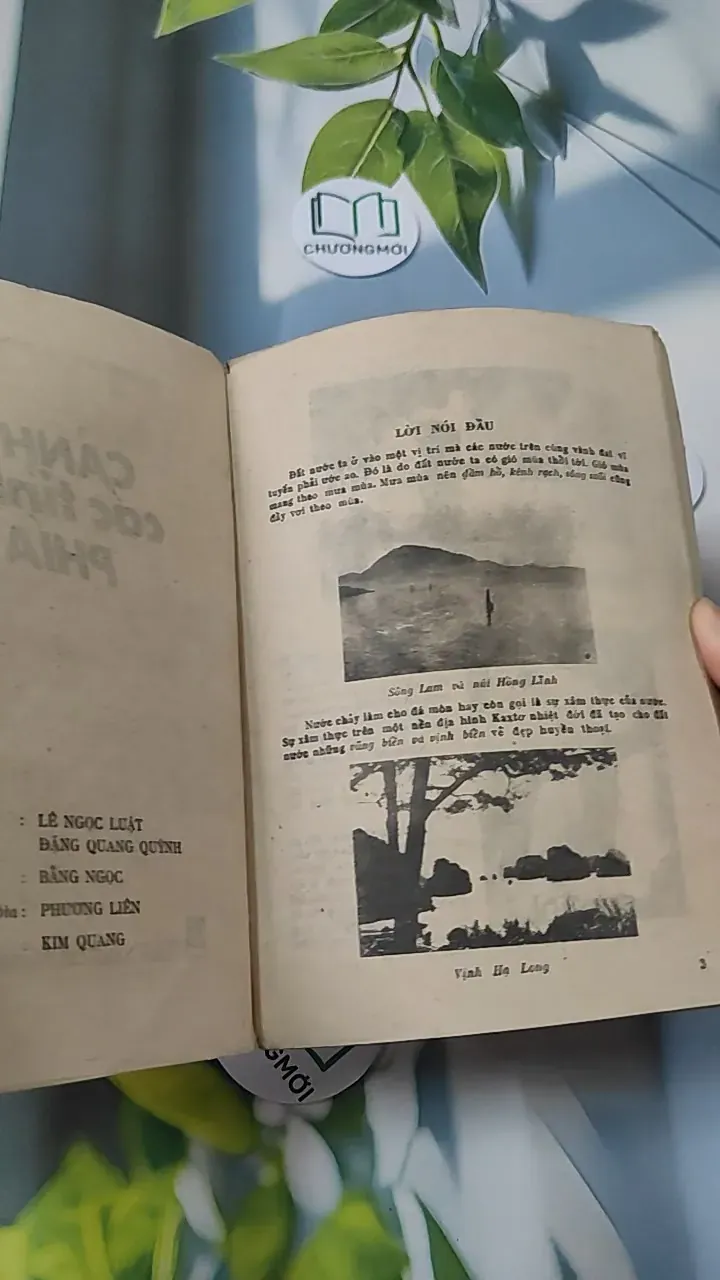 [MIỄN PHÍ BỌC SÁCH] [XƯA] Cảnh Đẹp Các Tỉnh Phía Nam (1989) - Lê Ngọc Luật & Đặng Quang Quỳnh 776001