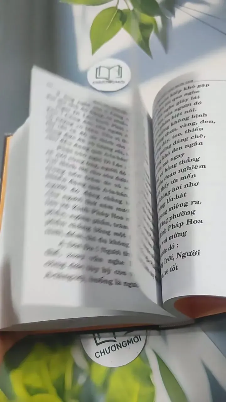 Kinh Diệu Pháp Liên Hoa 715616