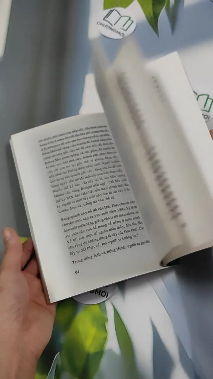 Góp lá nhiệm mầu - Nhuận Đạt 776208