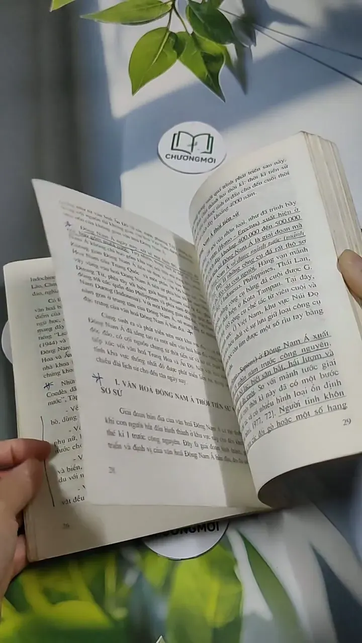 Văn Hóa Đông Nam Á - Mai Ngọc Chừ 707261