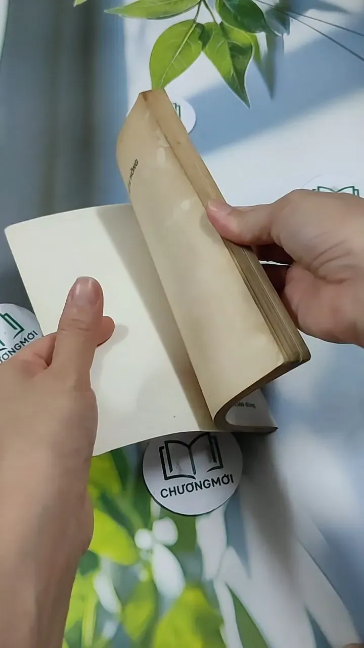 Lửa Hồng - Rolande Cause 713851