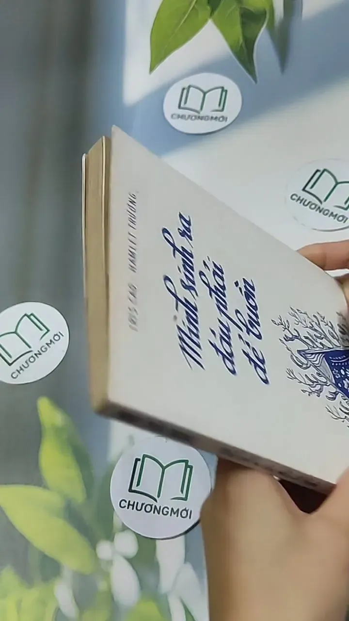 Mình sinh ra đâu phải để buồn - Hamlet Trương 698562