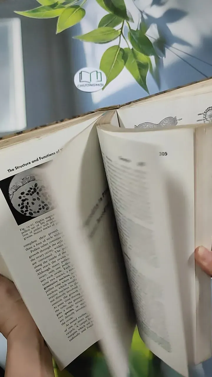 [MIỄN PHÍ BỌC SÁCH] The Plant World - Harry J. Fuller 750801