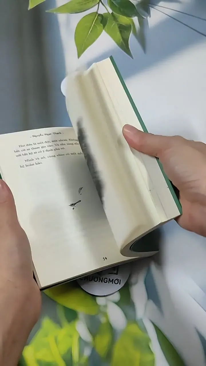 Lưng Chừng Cô Đơn - Nguyễn Ngọc Thạch 714336