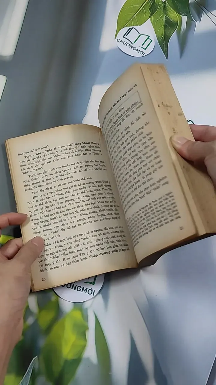 [XƯA] 6 Bí Quyết Dưỡng Sinh Người Có Tuổi (1994) 776147