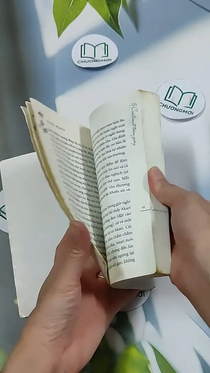 5 Centimet Trên Giây 703127