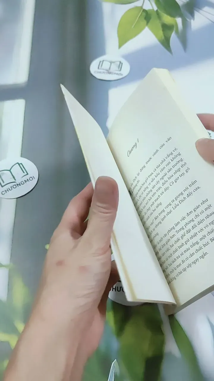 Bến Xe - Thương Thái Vi 744709