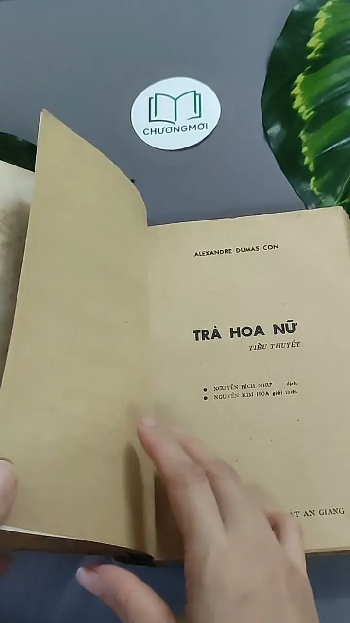 Trà Hoa Nữ 604659