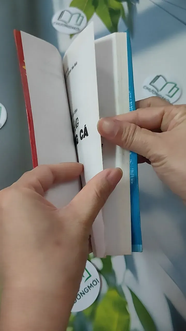 Chiến Thắng Mụn Trứng Cá - Kim Trọng 780823