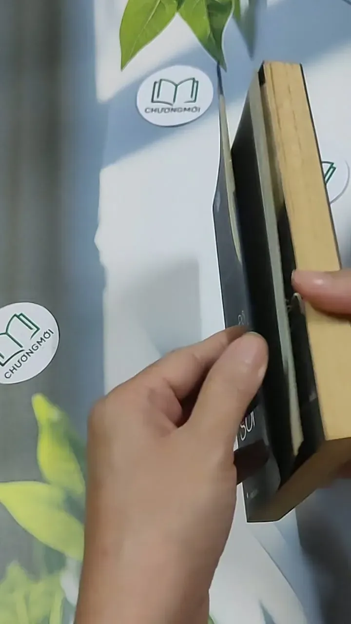 Đời đảo điên, bình yên sống - Yasuyuki Sato 698579