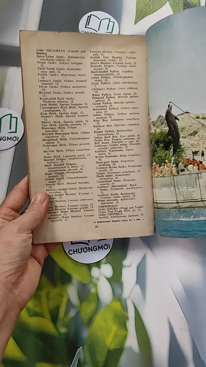 [MIỄN PHÍ BỌC SÁCH] [XƯA] Taronga Zoo Guide (1959) 754439