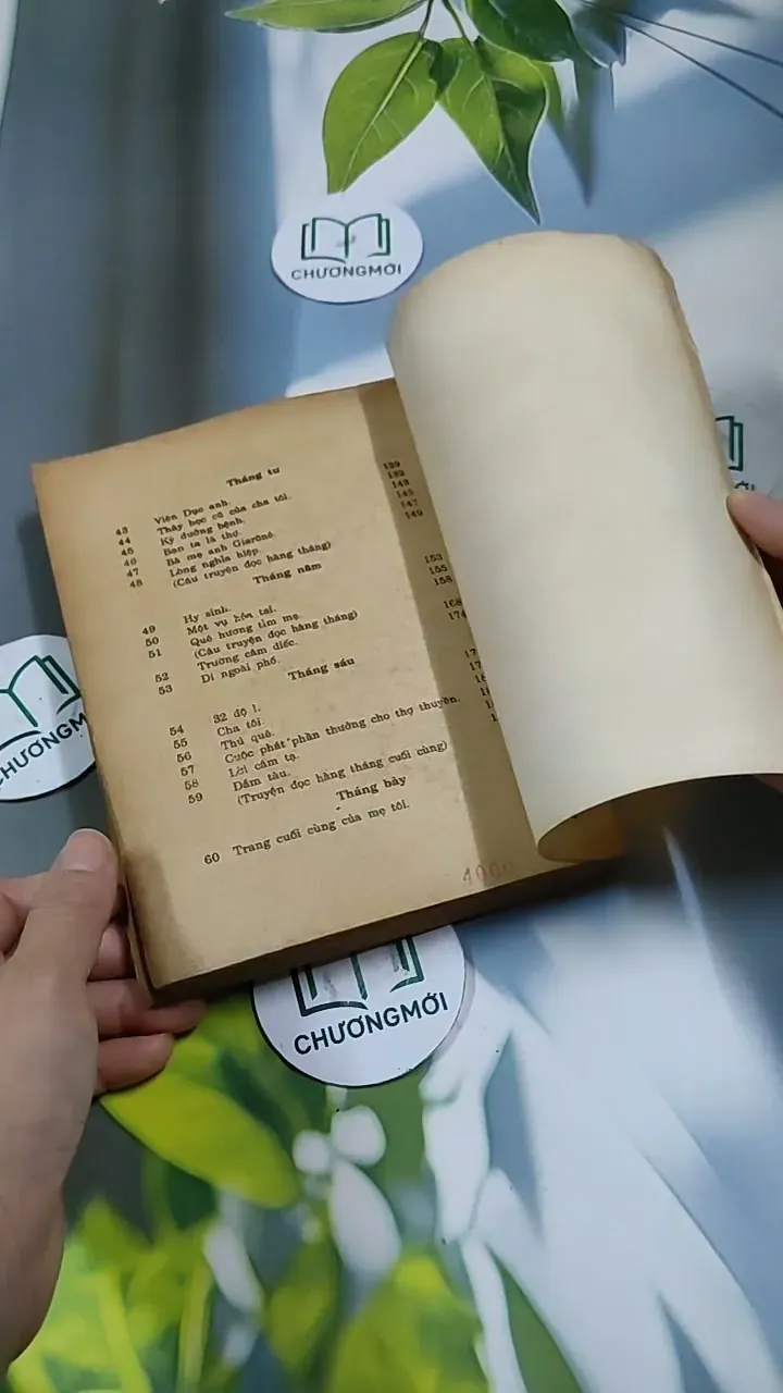 Tâm Hồn Cao Thượng (1989) 713894