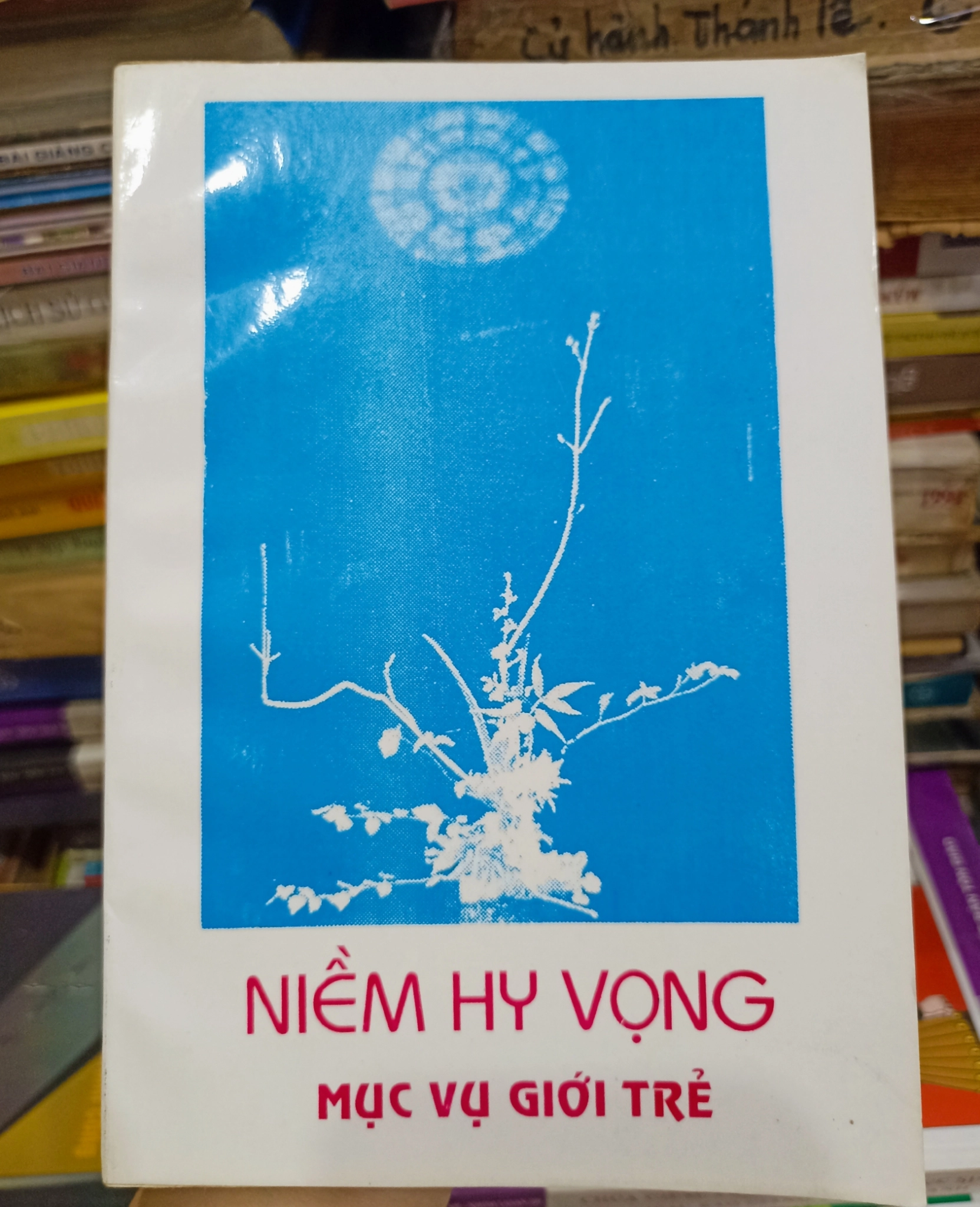 Niềm Hy Vọng Mục Vụ Giới Trẻ 