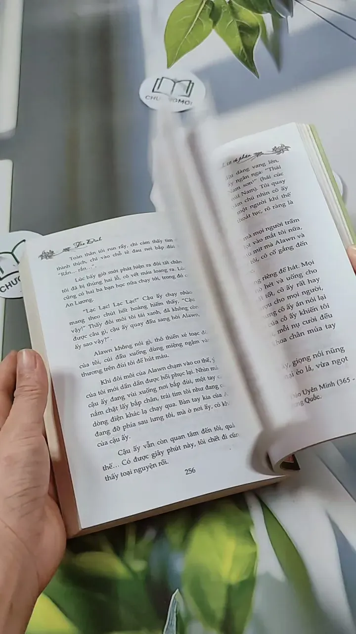 Có Duyên Nhất Định Sẽ Có Phận - Tào Đình 744694