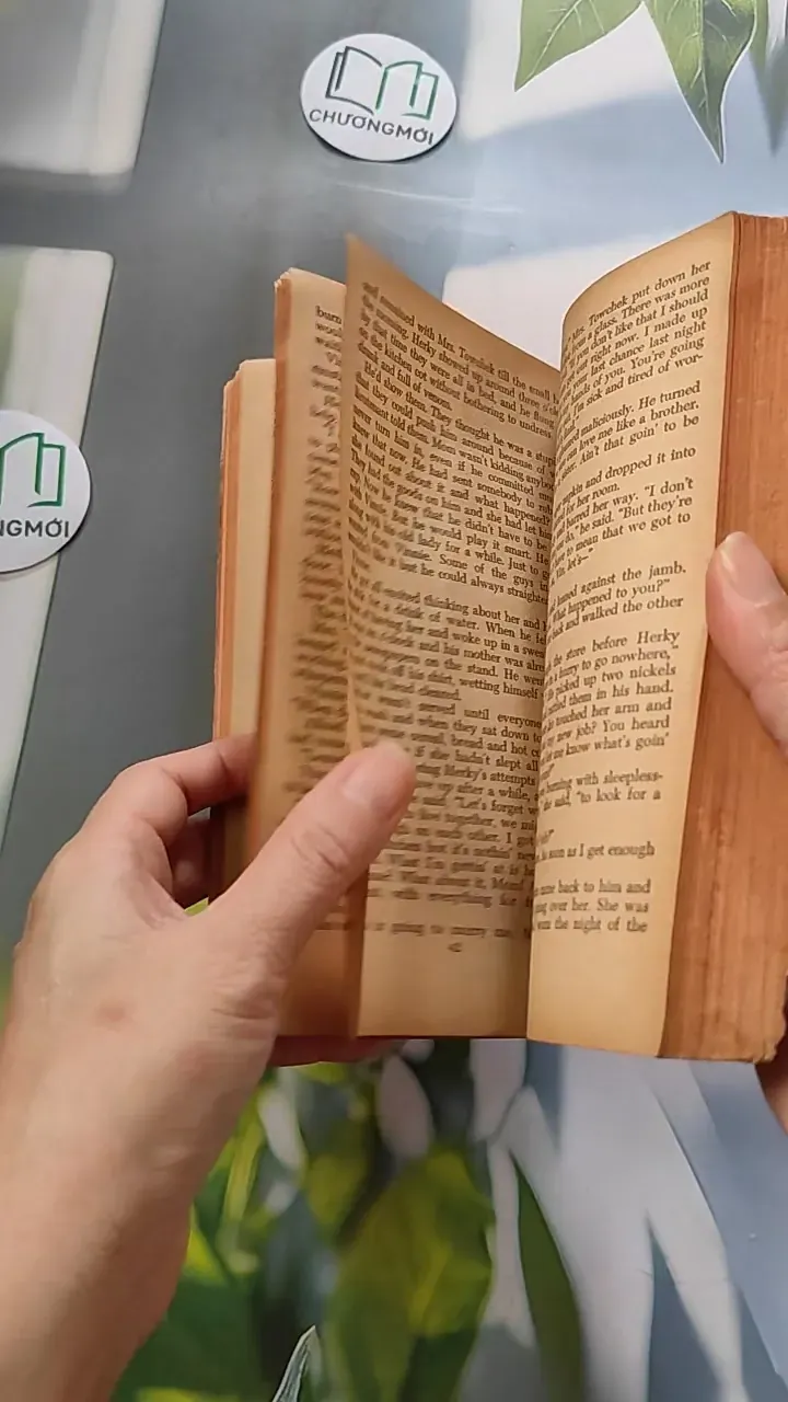 [XƯA] Vinnie (1968) - Albert T. Quandt 754454