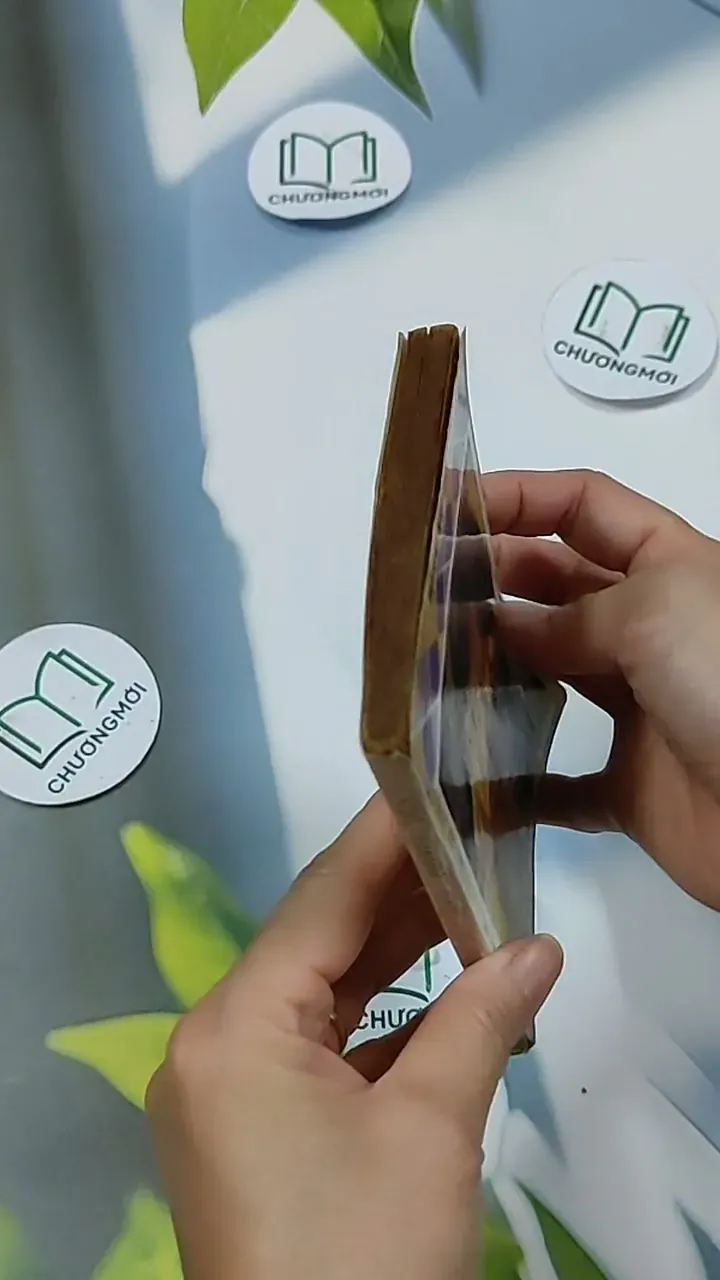 Cô Bé Hoả Tinh - Phượng Duy 703147